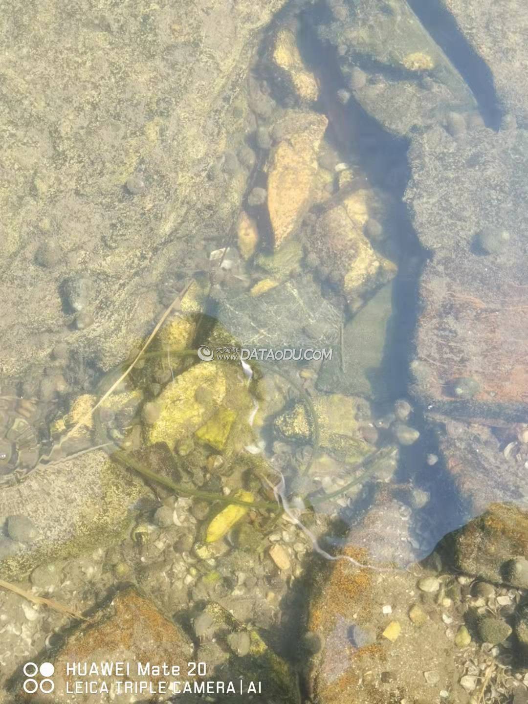 ΢��ͼƬ_20211008112734.jpg