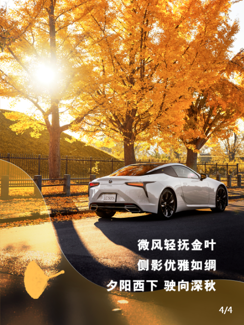 QQ20241017-103625.png