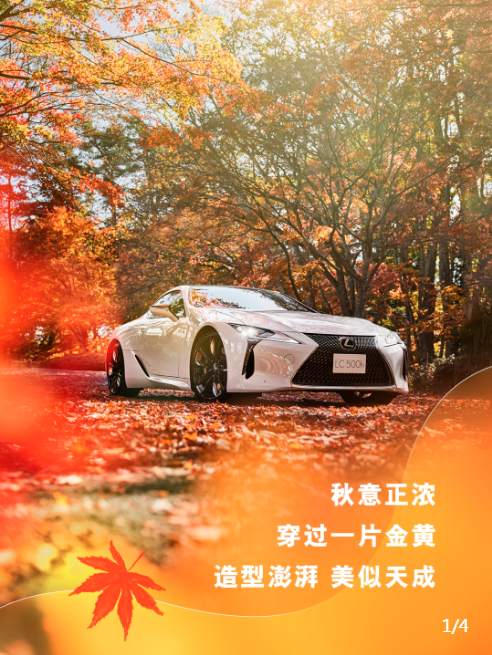 QQ20241017-103548.png