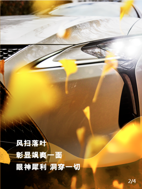QQ20241017-103606.png