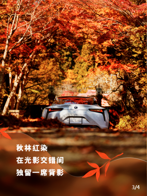 QQ20241017-103616.png